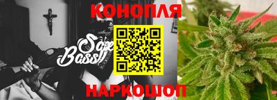 крисы Боровичи