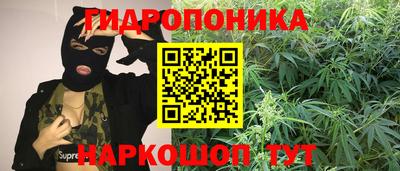 крисы Боровичи