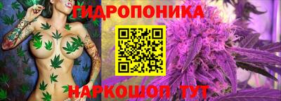 альфа пвп Братск
