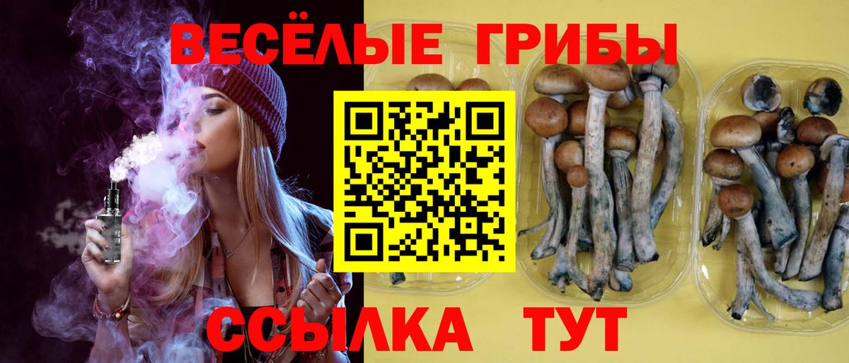 Псилоцибиновые грибы Magic Shrooms  Галлюциногенные грибы ЛСД  наркошоп  Вход с VPN  Домодедово 
