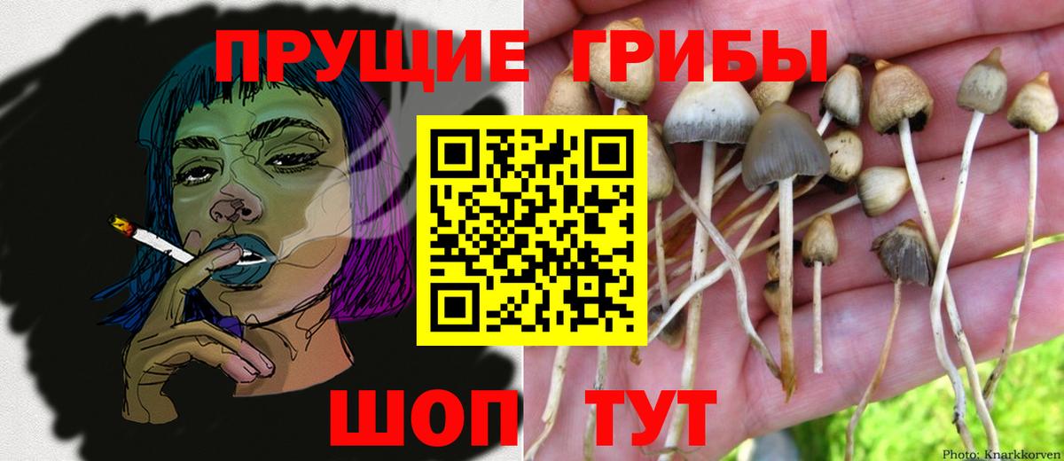 Галлюциногенные грибы мицелий Домодедово